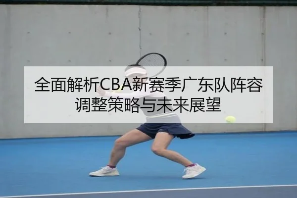 全面解析CBA新赛季广东队阵容调整策略与未来展望